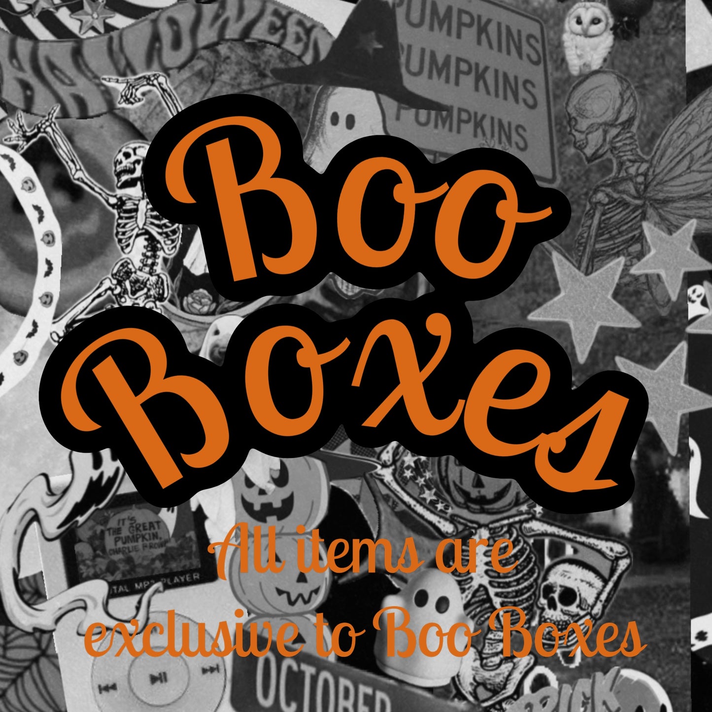 🕷️Exclusive Boo Boxes🕷️